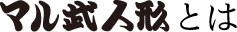 マル武人形とは
